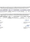 Vista preliminar de documento resultados extraordinario