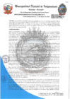 Vista preliminar de documento RESOLUCION GERENCIAL N°29-2025-MDI-GI