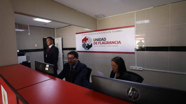 Ley-de-Sistema-de-Flagrancia-pemitira-instituciones-intervenir-en-lucha-contra-la-criminalidad-1