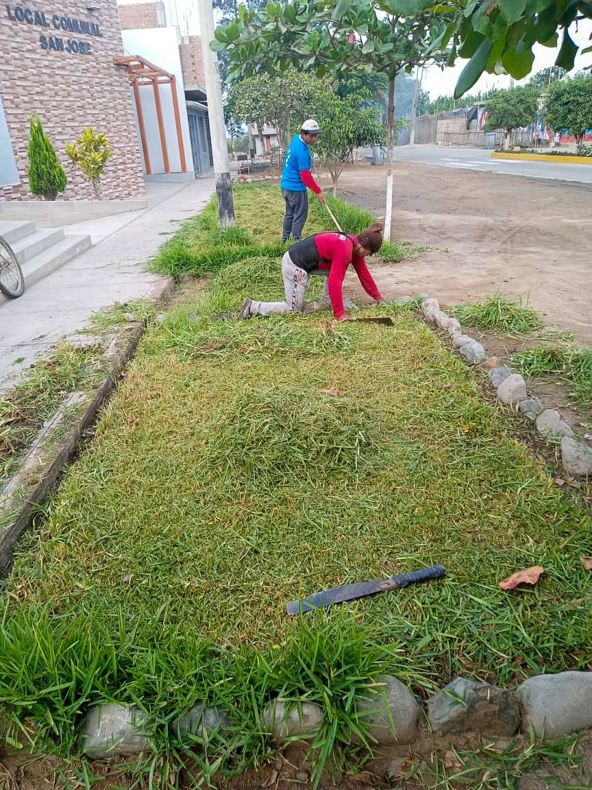 Poda en el exterior del Centro Cívico de San José