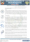 Vista preliminar de documento RA 024