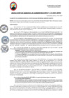 Vista preliminar de documento RGA115-2024