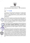 Vista preliminar de documento RGGR 045-2025-GRA/GR-GG