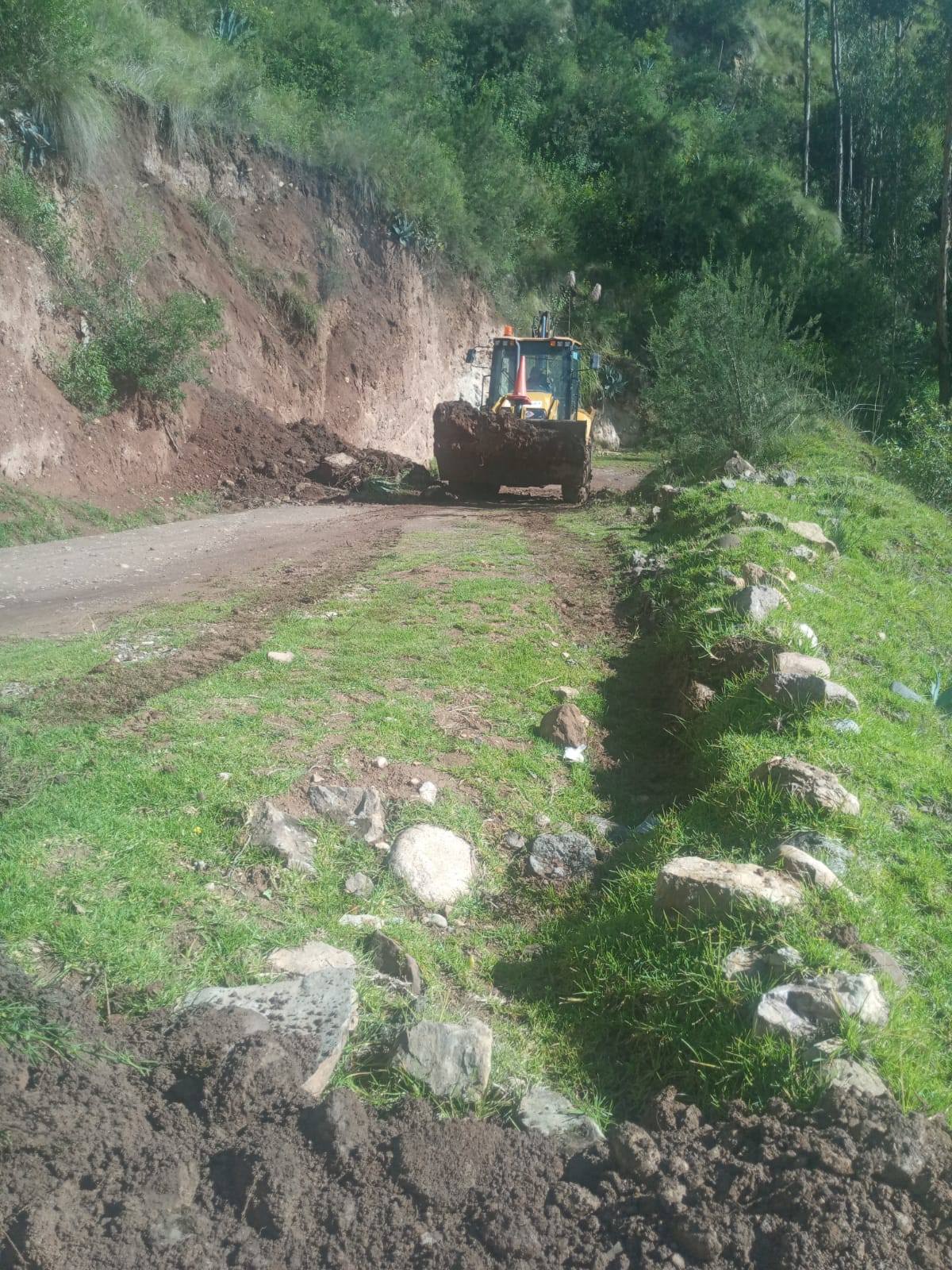 IMAGEN DE FOTO