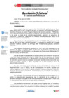 Vista preliminar de documento RJ 020-2025-JUS PRONACEJ-UA fffffff