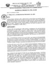 Vista preliminar de documento AC-10-2025-CPJ-SE