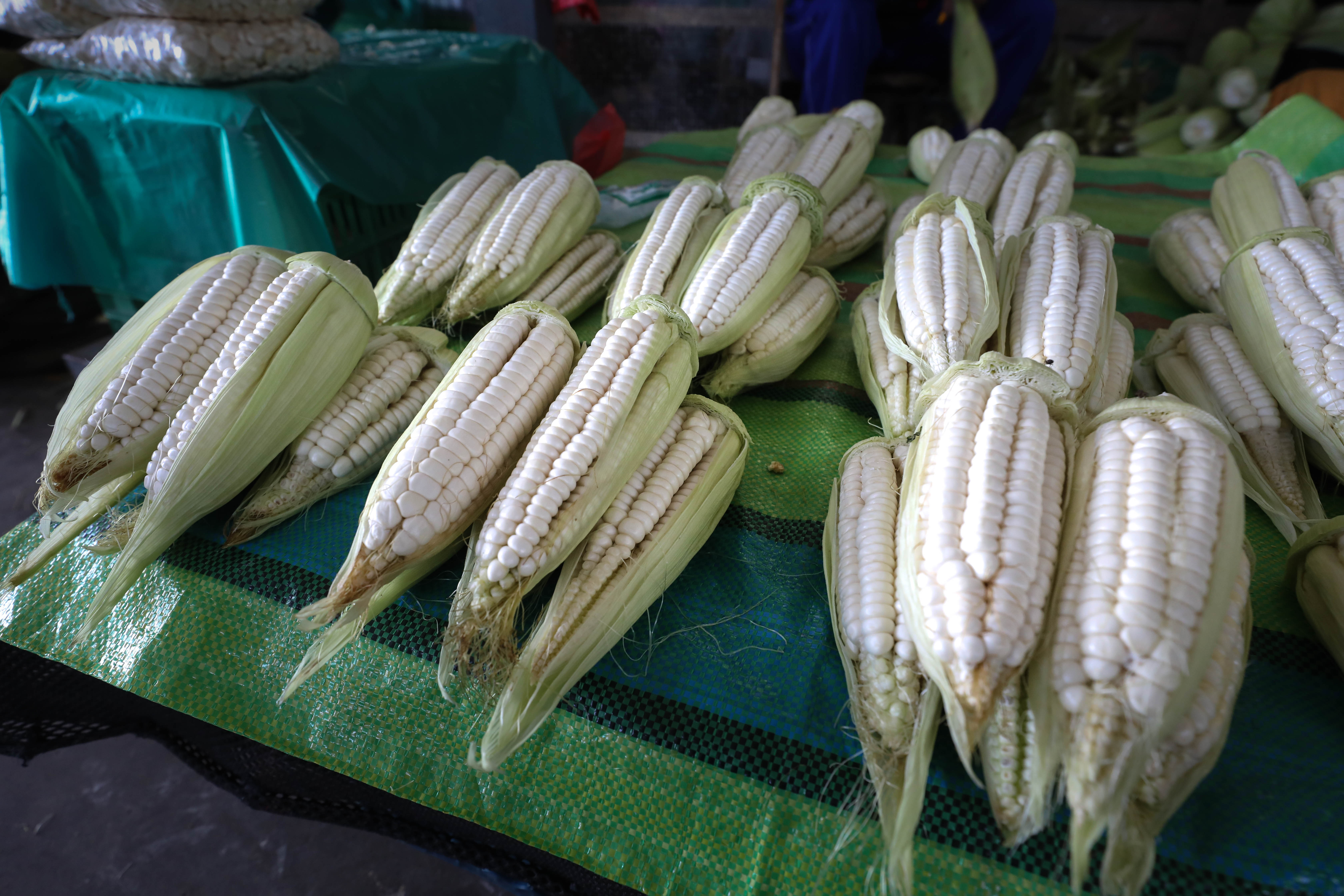 Hoy en los mercados mayoristas hay ofertas en camote, cebolla, choclo, naranja, mango, papaya y otros