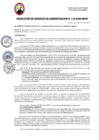 Vista preliminar de documento RGA118-2024