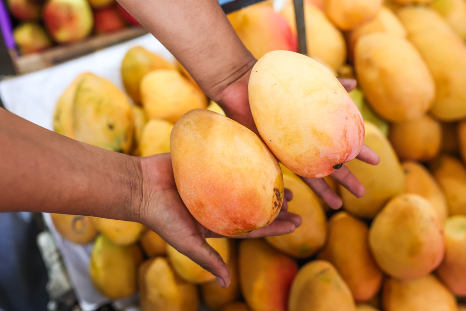 Los productos de mayor producción fueron mango, maíz, fresa, cebolla, caña de azúcar, entre otros mayoristas.