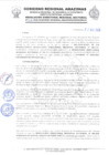 Vista preliminar de documento RESOLUCION DIRECTORAL REGIONAL N°338
