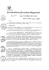 Vista preliminar de documento Resolución Ejecutiva Regional