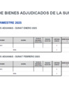 Vista preliminar de documento REPORTE DE BIENES ADJUDICADOS DE LA SUNAT Y OTROS I TRIM 2025