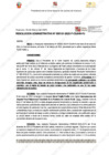 Vista preliminar de documento 131