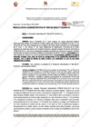 Vista preliminar de documento 132