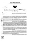 Vista preliminar de documento RDR 0155-2025