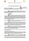 Vista preliminar de documento 133