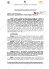 Vista preliminar de documento 137