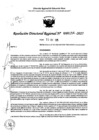 Vista preliminar de documento RDR 0156-2025