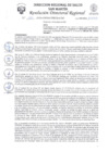 Vista preliminar de documento R.D.R N°1163-2024-DG