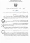 Vista preliminar de documento RD N° 383-2025