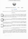 Vista preliminar de documento RD N° 384-2025