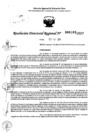 Vista preliminar de documento RDR 0160-2025