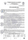 Vista preliminar de documento Resolución Directoral N.° 100-2025-HSR-AND-DE