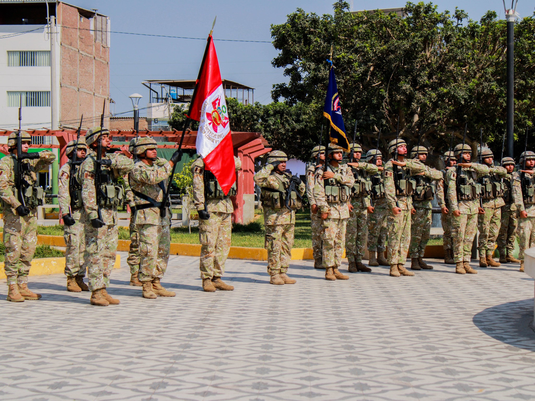 Registro 3: Veteranos