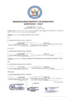 Vista preliminar de documento Fe de Erratas N° 001 (1)