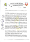 Vista preliminar de documento RESOLUCION N 132