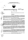 Vista preliminar de documento RDR 0161-2025