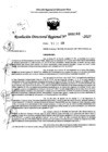 Vista preliminar de documento RDR 0162-2025