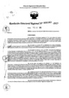 Vista preliminar de documento RDR 0163-2025