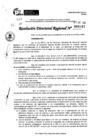Vista preliminar de documento RDR 0167-2025