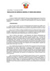 Vista preliminar de documento RESOLUCION DE GERENCIA GENERAL-000004-2025-ANIN-GG