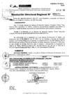 Vista preliminar de documento RDR 0171-2025