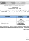 Vista preliminar de documento 3er Comunicado de la convocatoria N.° 001-2025 