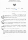 Vista preliminar de documento RD N° 386-2025