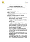 Vista preliminar de documento CONVOCATORIA CAS N° 010-2025-MDVMT BASES CONVOCATORIAS - SERENO A PIE (70)