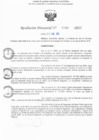 Vista preliminar de documento RD N° 390-2025