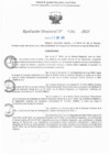 Vista preliminar de documento RD N° 391-2025