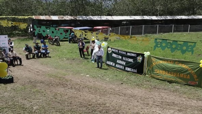 M YAMBRASBAMBA 1