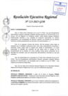 Vista preliminar de documento RER 113-2025-GOB