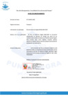 Vista preliminar de documento Aviso de Sinceramiento - Plan de Gobierno Digital (PGD) 2025-2027 