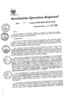 Vista preliminar de documento Resolución Ejecutiva Regional
