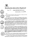 Vista preliminar de documento Resolución Ejecutiva Regional