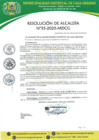 Vista preliminar de documento Resolución de Alcaldía 035-2025