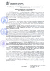 Vista preliminar de documento RR N° 238-2024-UNTELS-R JURIDICA