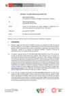Vista preliminar de documento 1. Identificacion de PIOs_Azulccacca