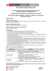 Vista preliminar de documento 01.Bases de Practicas N° 05-2025-ANIN